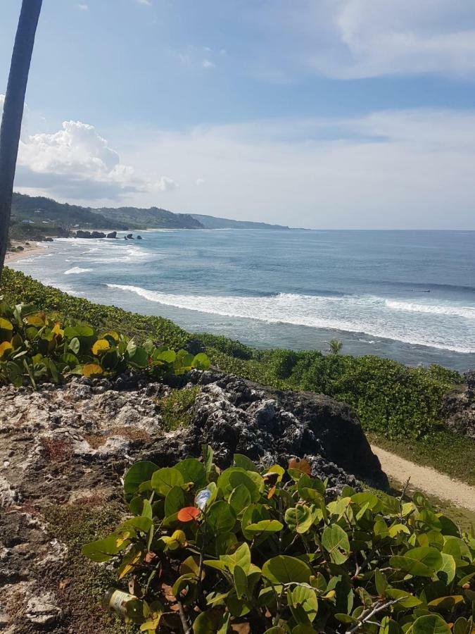 Breezy Apts Saint Philip Exterior foto
